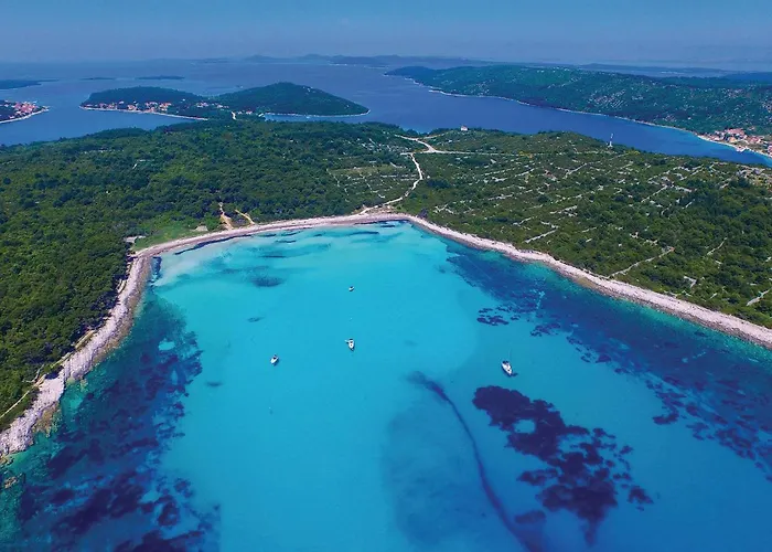 Awesome In With Wifi Dragove