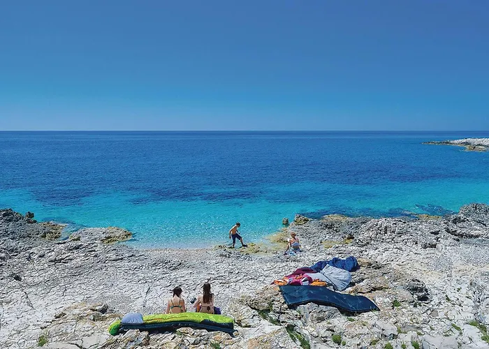 Awesome In With Wifi 펜션